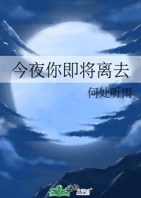 今夜你即将离去